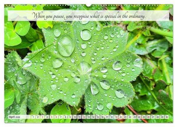 Produktbild: Breathe. See. Shift. Photographic and poetic inspiration for an alert life (High Quality Premium Wall Calendar 2026 DIN A2 landscape),CALVENDO 12 Mont