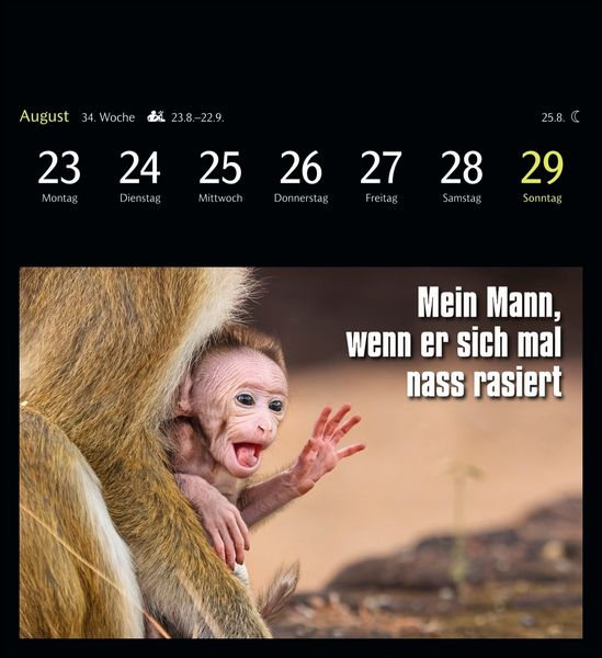 Produktbild: Animal Memes Postkartenkalender 2027 - 53 tierisch witzige Postkarten