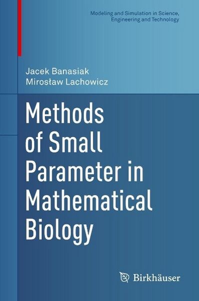 Produktbild: Methods of Small Parameter in Mathematical Biology