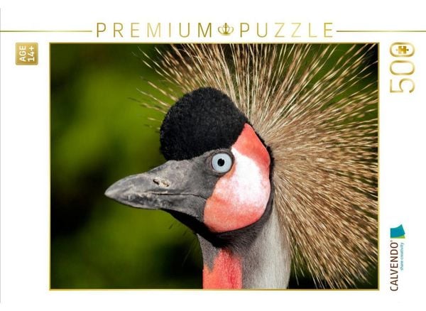 CALVENDO Puzzle Ein Motiv aus dem Kalender Weltvogelpark Walsrode - Die Vielfalt der Vogelarten | 500 Teile Lege-Größe 48 × 36 cm Foto-Puzzle für Erwachsene