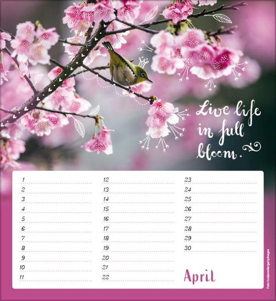 Produktbild: Geburtstagskalender Im herzen barfu&szlig;