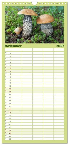 Produktbild: Familienplaner 2027 - Pilze - tolle Funde mit 5 Spalten (Wandkalender, 21 x 45 cm) CALVENDO