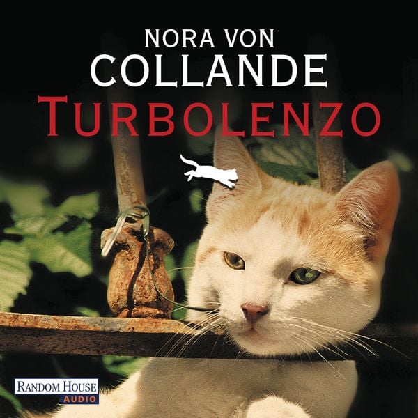 Produktbild: Turbolenzo