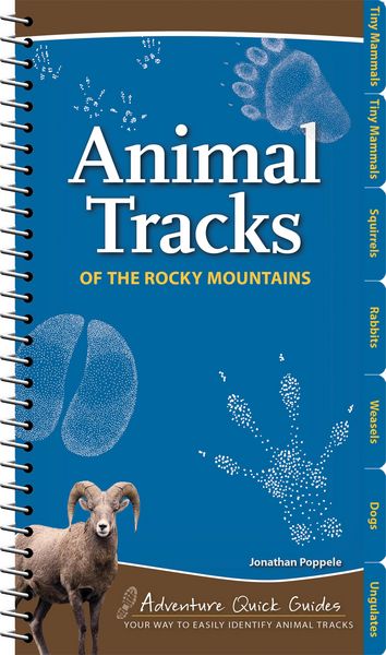 Produktbild: Animal Tracks of the Rocky Mountains