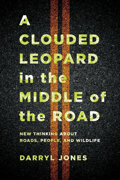 Produktbild: A Clouded Leopard in the Middle of the Road