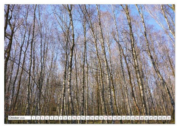 Produktbild: Herdorf im Hellertal (Tischkalender 2026 DIN A5 quer), CALVENDO Monatskalender