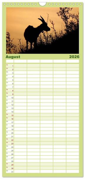 Produktbild: Familienplaner 2026 - Wer zickt denn da? Mit Ziegen durchs Jahr mit 5 Spalten (Wandkalender, 21 x 45 cm) CALVENDO