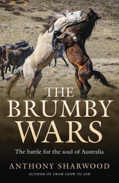 Produktbild: The Brumby Wars