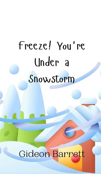Produktbild: Freeze! You're Under a Snowstorm