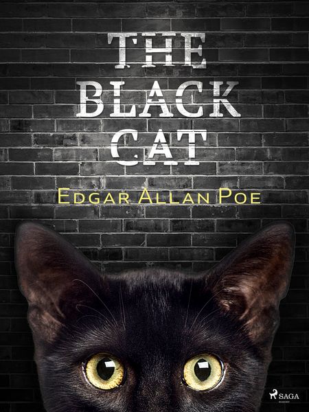 Produktbild: The Black Cat