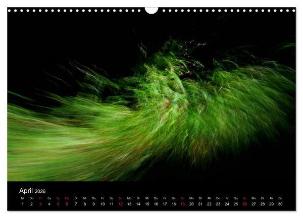 Produktbild: Magischer Wald (Wandkalender 2026 DIN A3 quer), CALVENDO Monatskalender