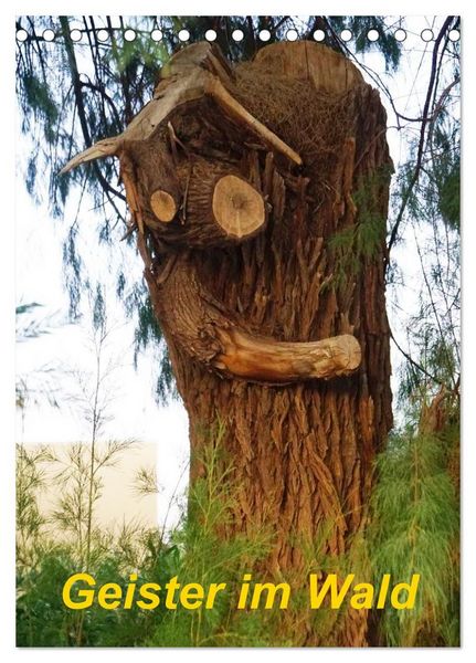 Produktbild: Geister im Wald 2027 (Tischkalender 2027 DIN A5 hoch), CALVENDO Monatskalender