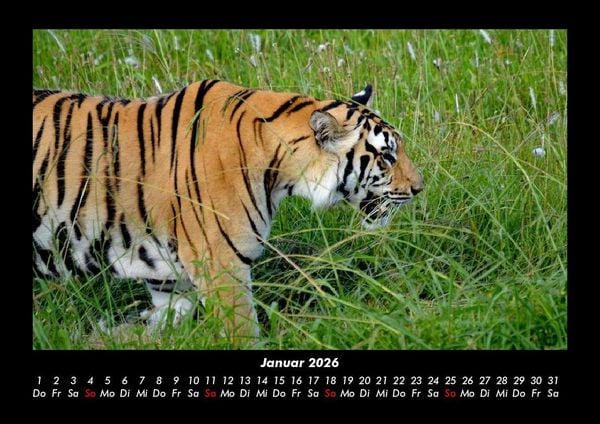 Produktbild: Welt der Tiere 2026 Fotokalender DIN A3
