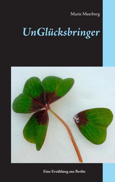 Produktbild: Ungl&uuml;cksbringer