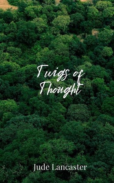 Produktbild: Twigs of Thought