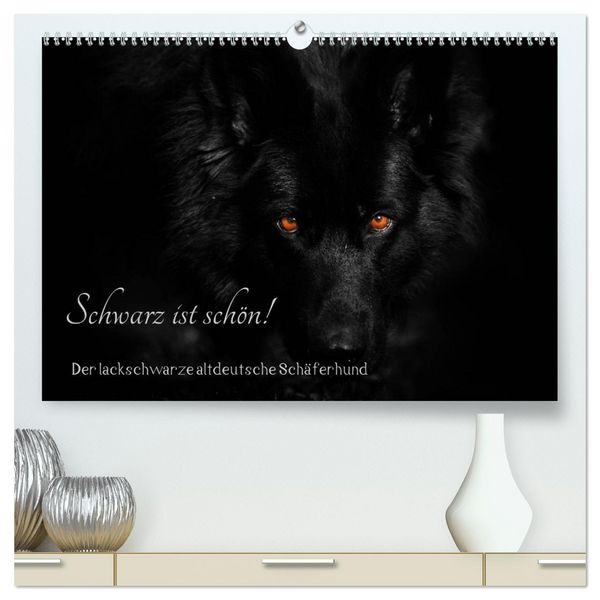 Schwarz ist schön! Der lackschwarze altdeutsche Schäferhund (hochwertiger Premium Wandkalender 2026 DIN A2 quer), Kunstdruck in Hochglanz