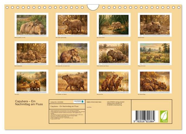 Produktbild: Capybara &ndash; Ein Nachmittag am Fluss (Wandkalender 2027 DIN A4 quer), CALVENDO Monatskalender