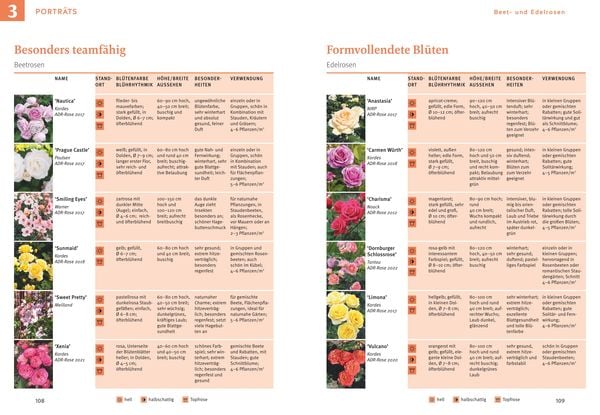Produktbild: Rosen pflegen