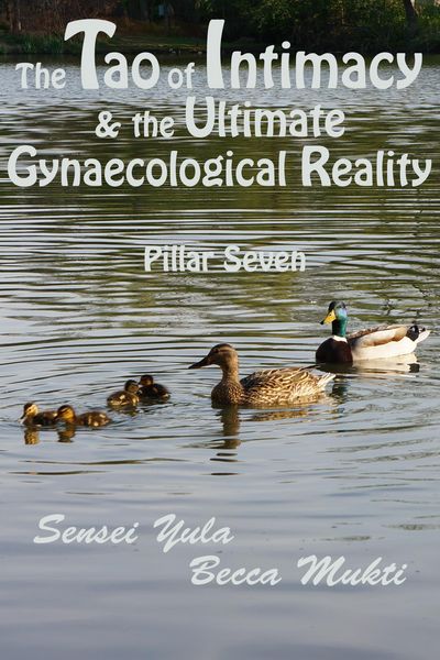 Produktbild: Tao of Intimacy & the Ultimate Gynaecological Reality: Pillar Seven