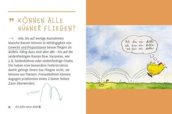 Produktbild: Eine kleine H&uuml;hner-R&auml;tselEI
