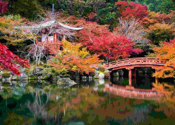 Produktbild: Erwachsenenpuzzle 1000 Teile - Daigo-ji, Kyoto, Japan