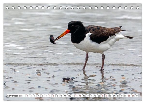 Produktbild: Wintertage auf Norderney (Tischkalender 2026 DIN A5 quer), CALVENDO Monatskalender