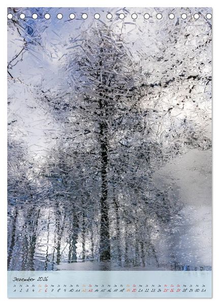 Produktbild: Wo der Wald tr&auml;umt (Tischkalender 2026 DIN A5 hoch), CALVENDO Monatskalender