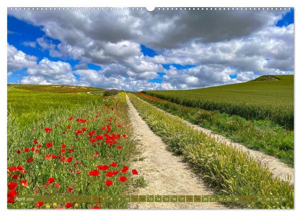 Produktbild: Augenblicke der Ruhe (Wandkalender 2026 DIN A2 quer), CALVENDO Monatskalender