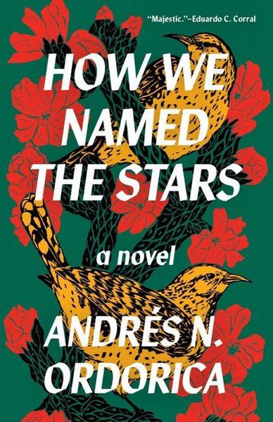 Produktbild: How We Named the Stars