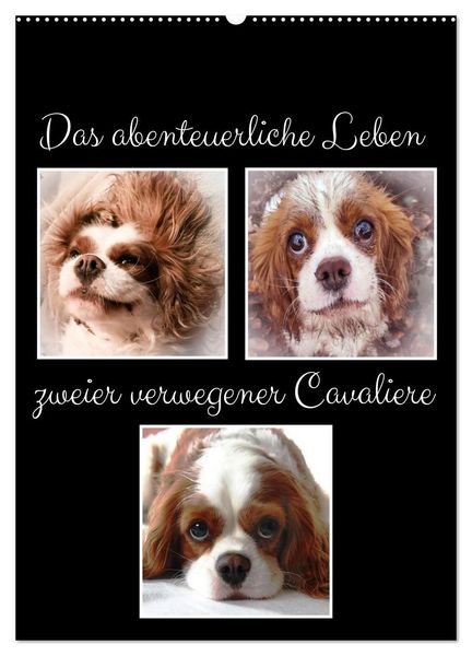 Produktbild: Das abenteuerliche Leben zweier verwegener Cavaliere (Wandkalender 2027 DIN A2 hoch), CALVENDO Monatskalender