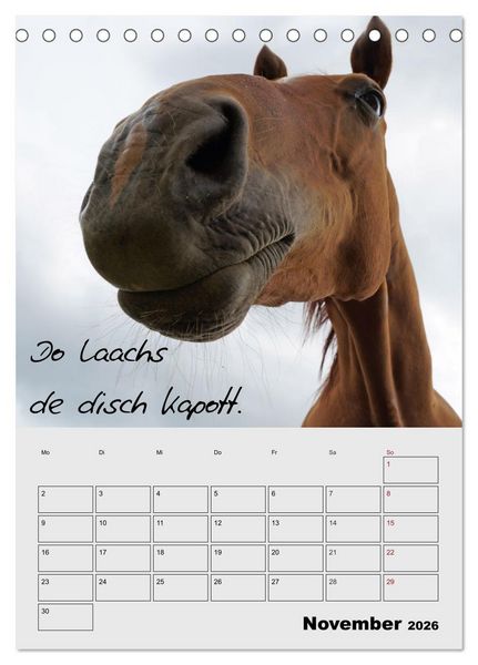 Produktbild: K&ouml;lsches Grundgesetz (Tischkalender 2026 DIN A5 hoch), CALVENDO Monatskalender