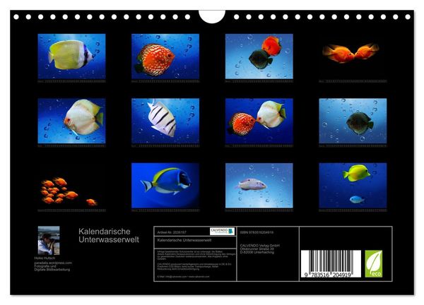Produktbild: Kalendarische Unterwasserwelt (Wandkalender 2026 DIN A4 quer), CALVENDO Monatskalender