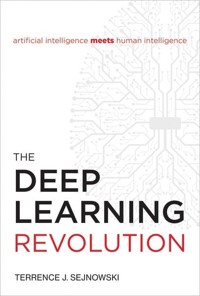 Produktbild: The Deep Learning Revolution