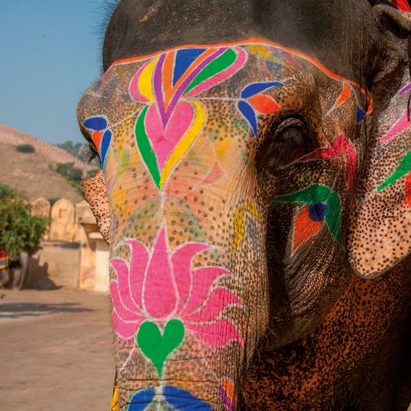 Produktbild: Colours of India 2027