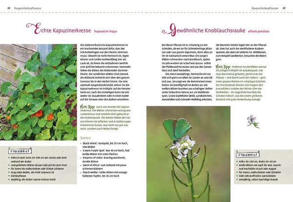 Produktbild: Mein Schmetterlingsgarten