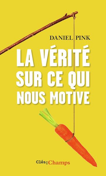 Produktbild: Pink, D: V&eacute;rit&eacute; sur ce qui nous motive