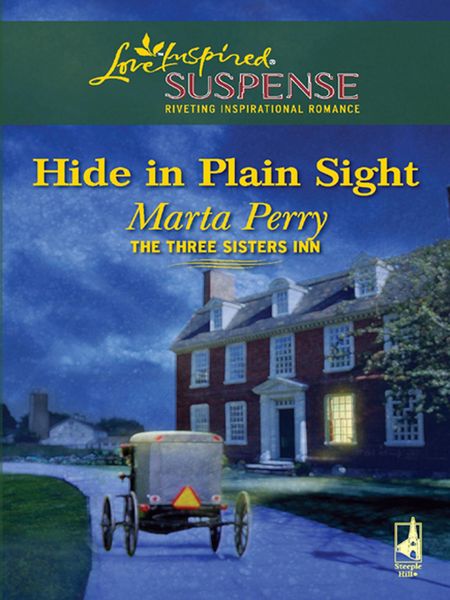 Produktbild: Hide in Plain Sight