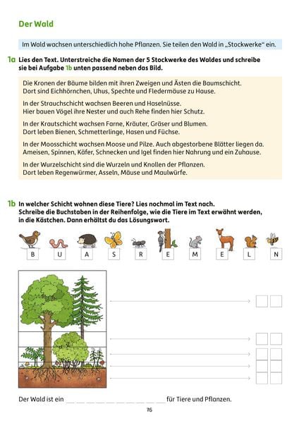 Produktbild: Erfolgreich durch die 3. Klasse &ndash; Mathe, Deutsch, Sachunterricht
