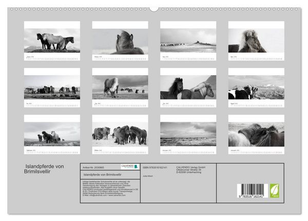 Produktbild: Islandpferde von Brimilsvellir (hochwertiger Premium Wandkalender 2026 DIN A2 quer), Kunstdruck in Hochglanz