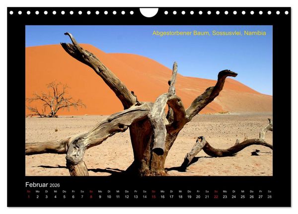 Produktbild: AFRIKA im S&uuml;den (Wandkalender 2026 DIN A4 quer), CALVENDO Monatskalender