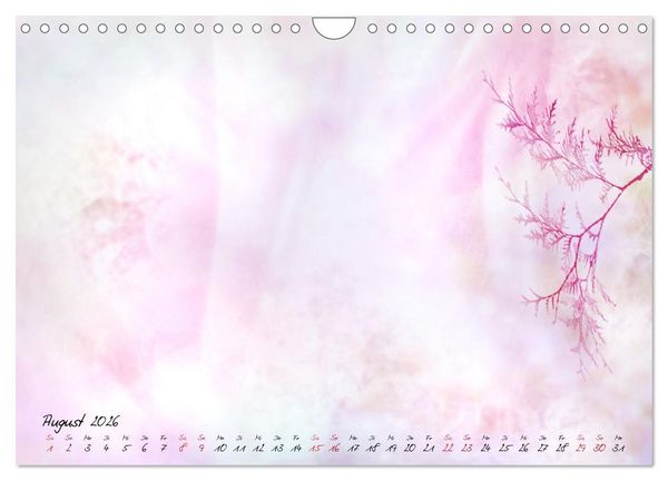 Produktbild: Es gibt Momente die man festhalten m&ouml;chte (Wandkalender 2026 DIN A4 quer), CALVENDO Monatskalender
