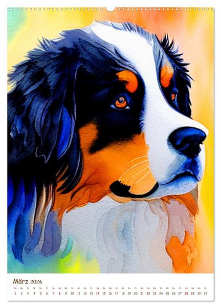 Produktbild: Berner Sennenhund 2026. Sch&ouml;ne Aquarelle der schweizer Hunderasse (hochwertiger Premium Wandkalender 2026 DIN A2 hoch), Kunstdruck in Hochglanz