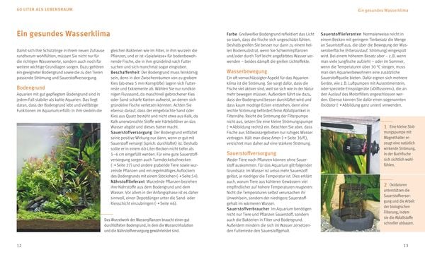 Produktbild: Kleine Aquarien
