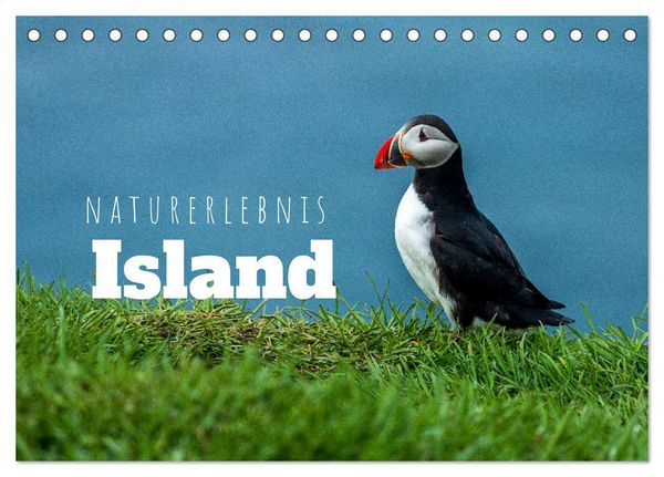 Naturerlebnis Island (Tischkalender 2026 DIN A5 quer), CALVENDO Monatskalender
