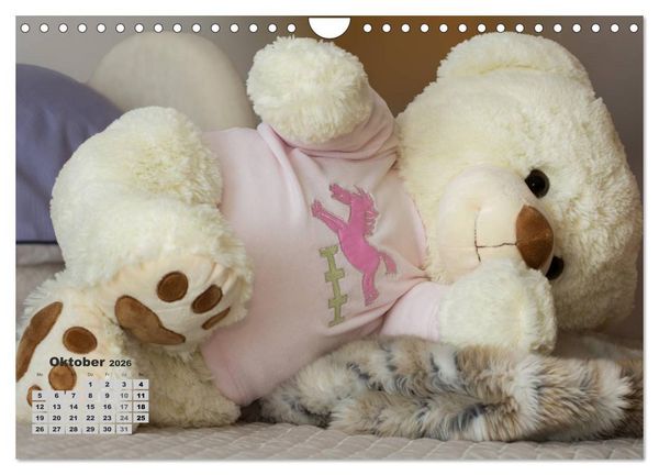 Produktbild: Teddys, wollen wir Kalender anschauen? (Wandkalender 2026 DIN A4 quer), CALVENDO Monatskalender