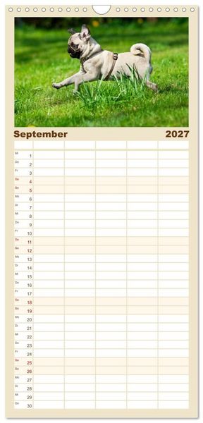 Produktbild: Familienplaner 2027 - Mops mit 5 Spalten (Wandkalender, 21 x 45 cm) CALVENDO
