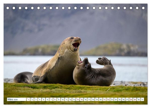 Produktbild: S&uuml;dgeorgien - Abgelegenes Naturparadies (Tischkalender 2026 DIN A5 quer), CALVENDO Monatskalender
