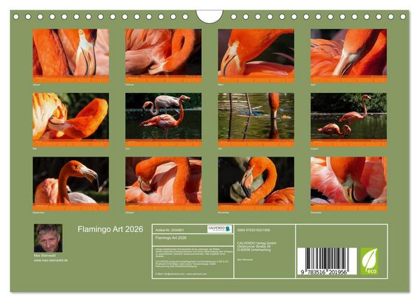 Produktbild: Flamingo Art 2026 (Wandkalender 2026 DIN A4 quer), CALVENDO Monatskalender
