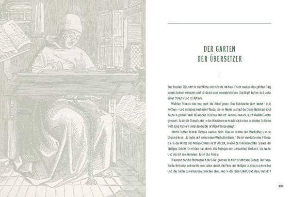 Produktbild: Der Garten der Bibel
