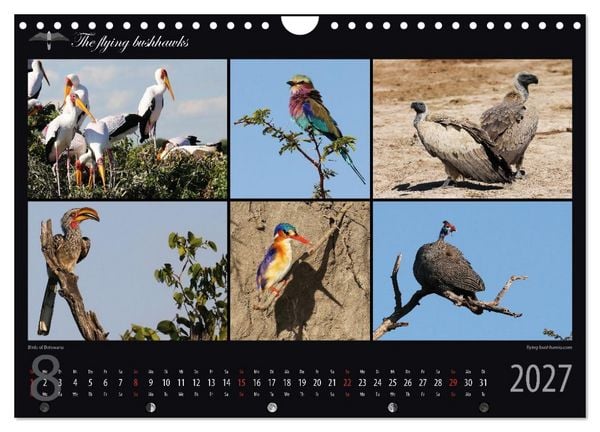 Produktbild: Botswana Blickwinkel 2027 (Wandkalender 2027 DIN A4 quer), CALVENDO Monatskalender